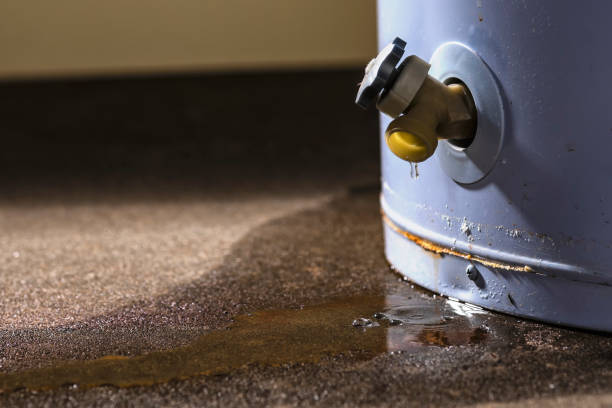 Professional Water damage restoration in Langdon, ND