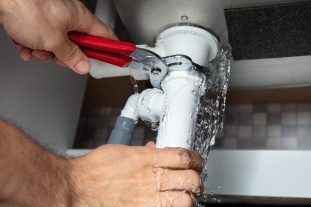 Best Sewage cleanup and water damage restoration  in Langdon, ND