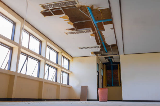 Water damage restoration mold remediation in Langdon, ND