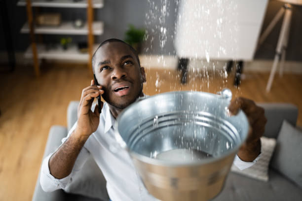 Best Water damage contractors near me  in Langdon, ND
