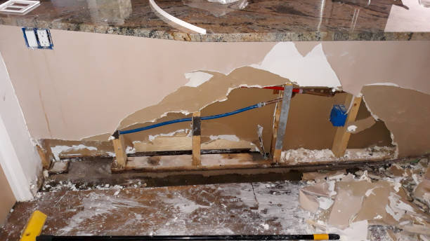 Best Water damage restoration mold remediation  in Langdon, ND