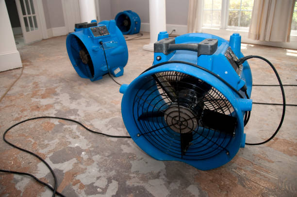 Best Local water damage restoration  in Langdon, ND