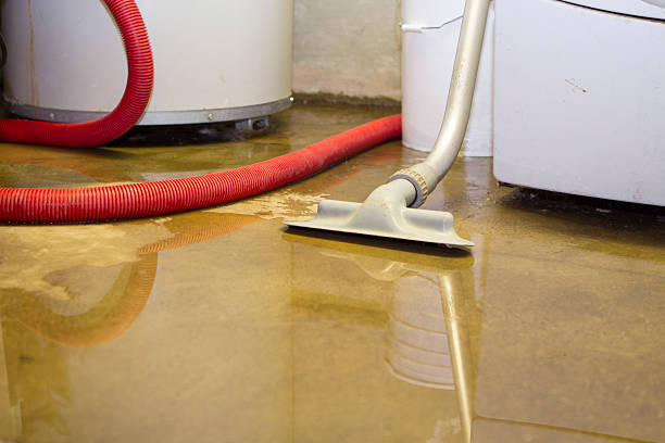 Local water damage restoration in Langdon, ND