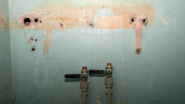 Best Water damage restoration near me  in Langdon, ND