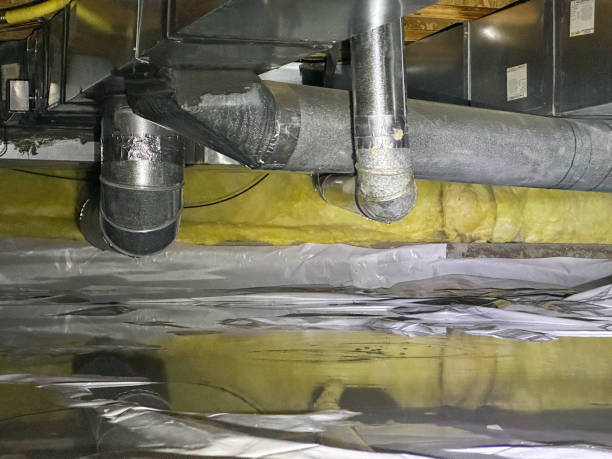 Best Mold removal after water damage  in Langdon, ND
