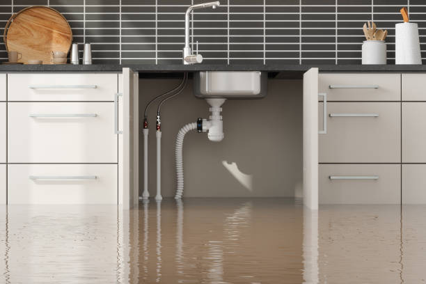 Best Flooded house restoration  in Langdon, ND