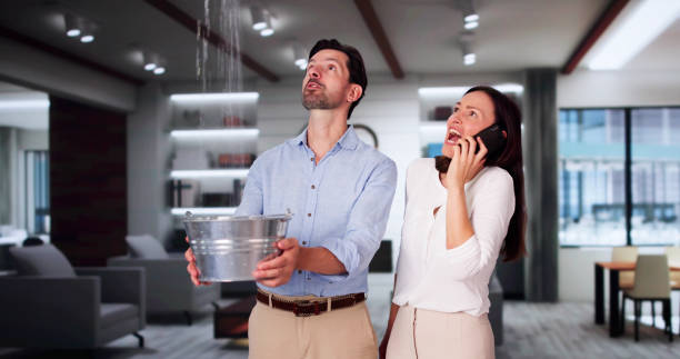  Langdon, ND Water damage restoration Pros